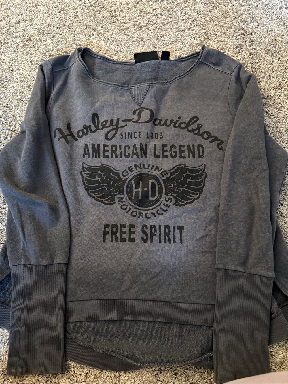 Harley-Davidson Women's Gray 'Free Spirit' Graphic Crewneck
